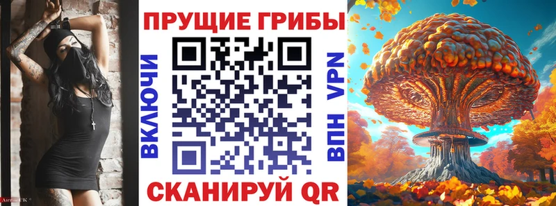 дарк нет как зайти  Нефтекумск  Галлюциногенные грибы GOLDEN TEACHER  сколько стоит 