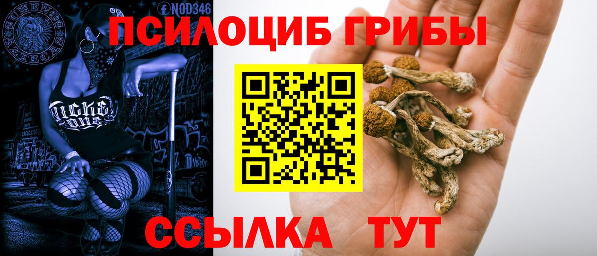 Псилоцибиновые грибы Psilocybe Нефтекумск