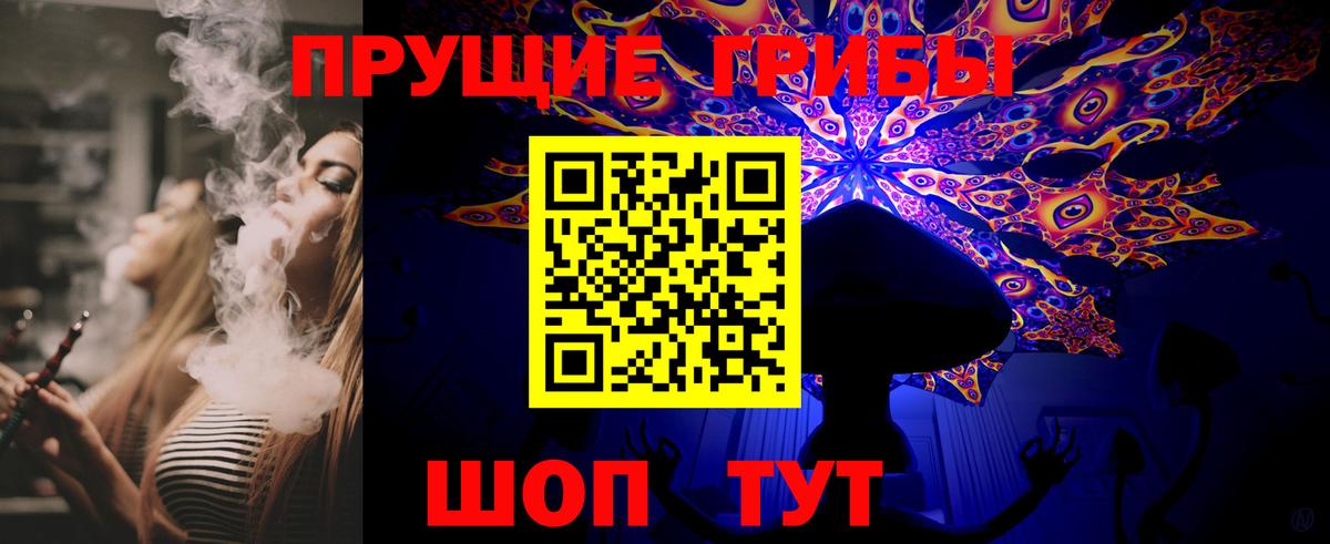 Псилоцибиновые грибы ЛСД  где купить наркотик  Псилоцибиновые грибы ЛСД  Нефтекумск  Вход с VPN 
